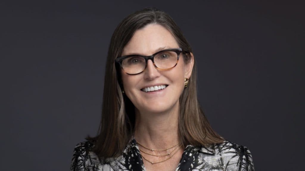 cathie wood ark investment headshot