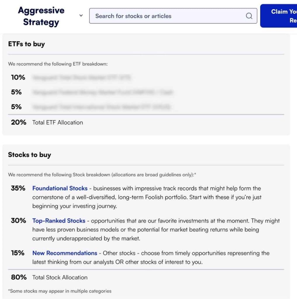 stock advisor aggressive strategy allocation